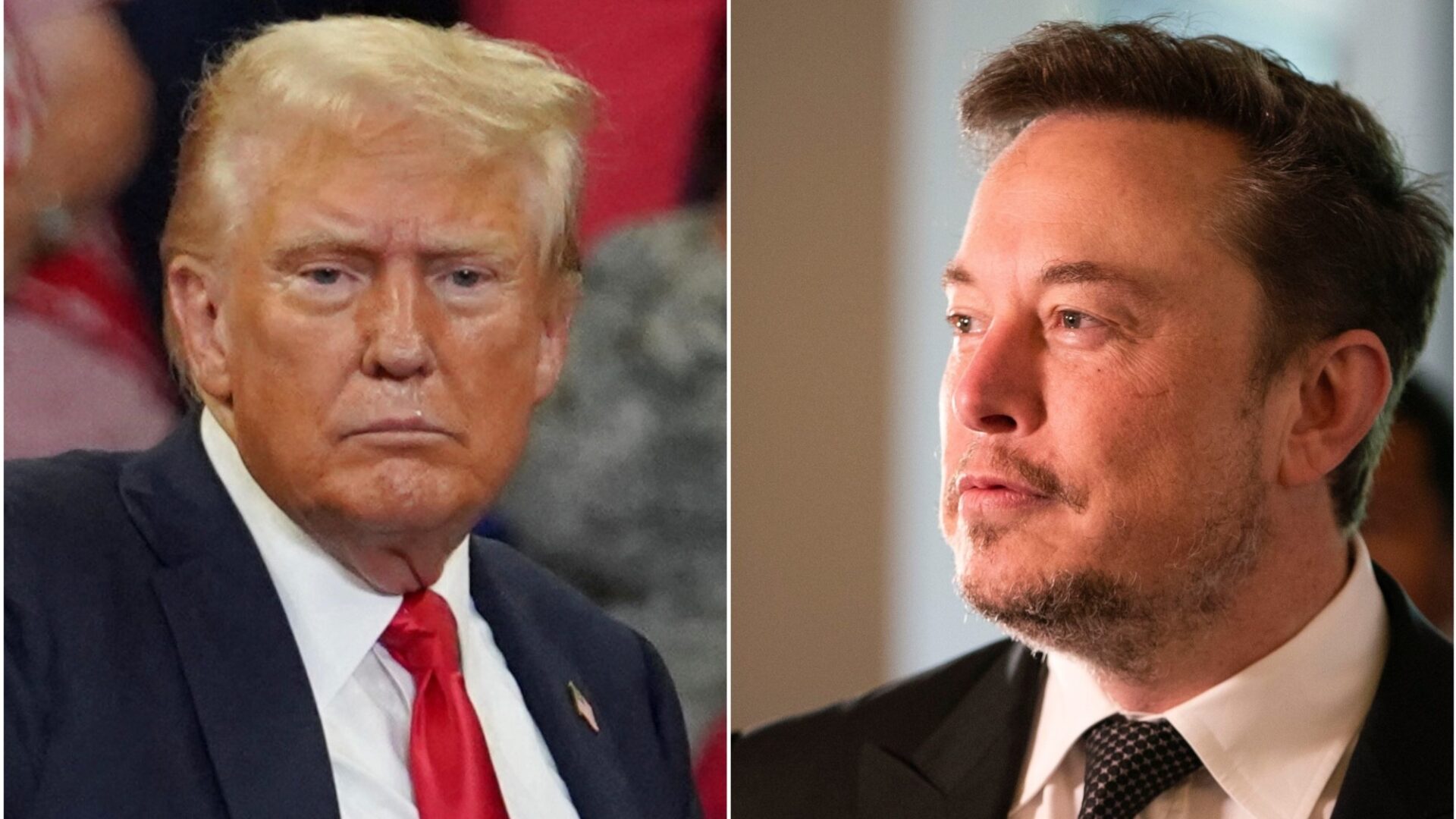 trump-musk