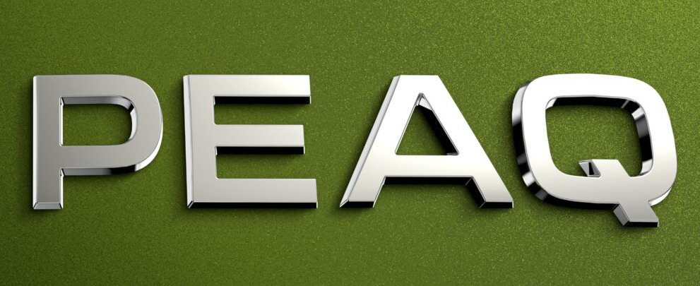 Skoda Peaq