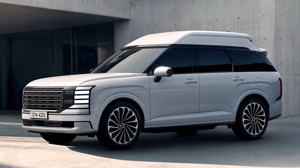 Hyundai Palisade high roof
