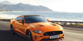 MUSTANG_55