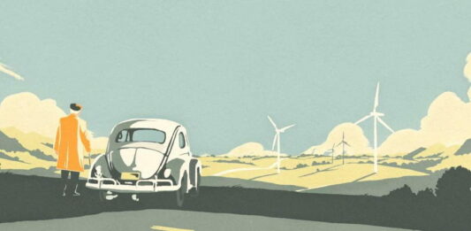 VW Beetles