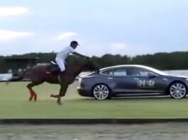 Tesla Model S vs Horse