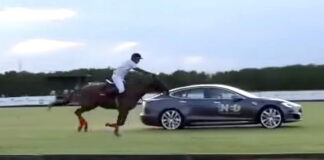 Tesla Model S vs Horse