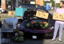 watermelon