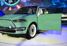 Great Wall Futurist