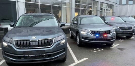 Skoda police
