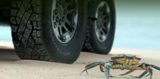 Hummer CrabWalk