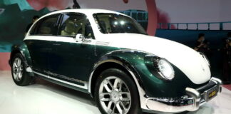 ORA-GREAT-WALL-PUNK-CAT