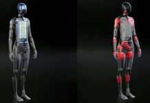Tesla bot