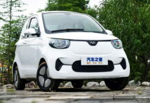 Hongrui Xiaohu Tiger