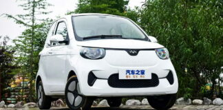 Hongrui Xiaohu Tiger