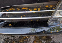 tesla-adds-another-chronic-defect