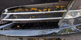 tesla-adds-another-chronic-defect