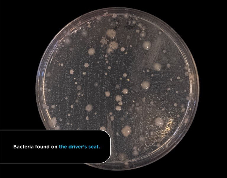 Car-bacteria