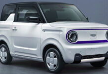 Geely Geometry M2