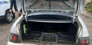 Патрульна поліція України пильнує за рибалками