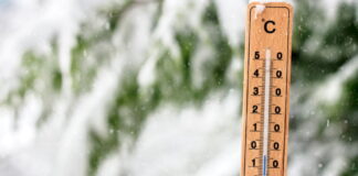 як пережити зиму