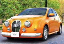 Mitsuoka Viewt Story