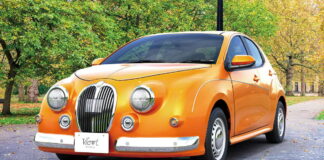 Mitsuoka Viewt Story