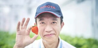 toyota-grows-strawberries