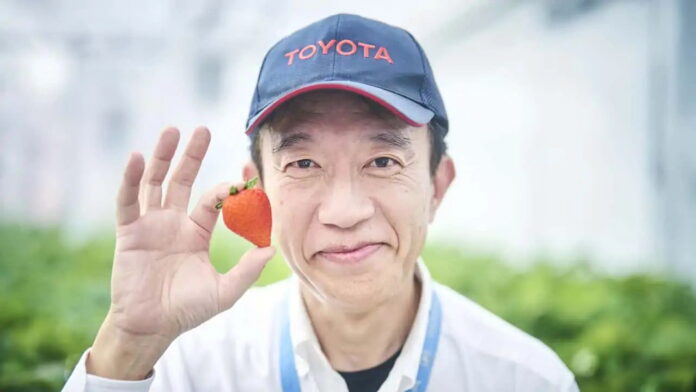 toyota-grows-strawberries