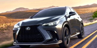 2025 Lexus NX