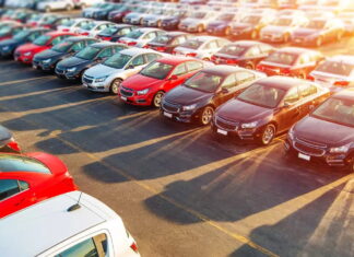 World Car Market