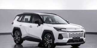 Toyota Wildlander