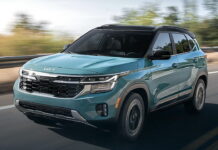 Стартують продажі “молодшого” брата Kia Sportage: оголошено ціни Kia Seltos