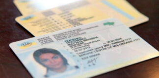 Українські посвідченя водія в країнах ЄС