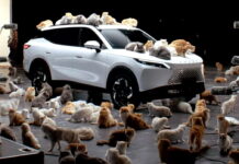 OMODA-7_Noise-Reducing-Glass