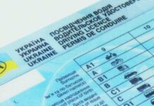Іспит водійське посвідчення